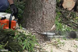 Soil Testing and Treatment in Oceana, WV